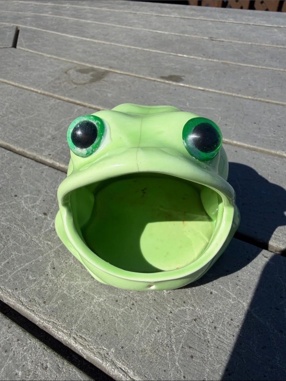 Green Frog-Shaped Feeding Dish for Kitchen & Home